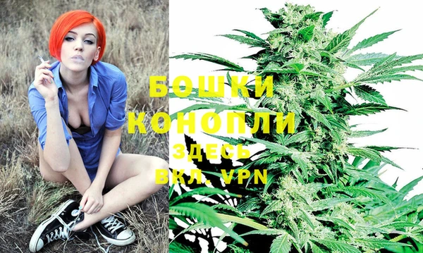 прущая мука Михайлов