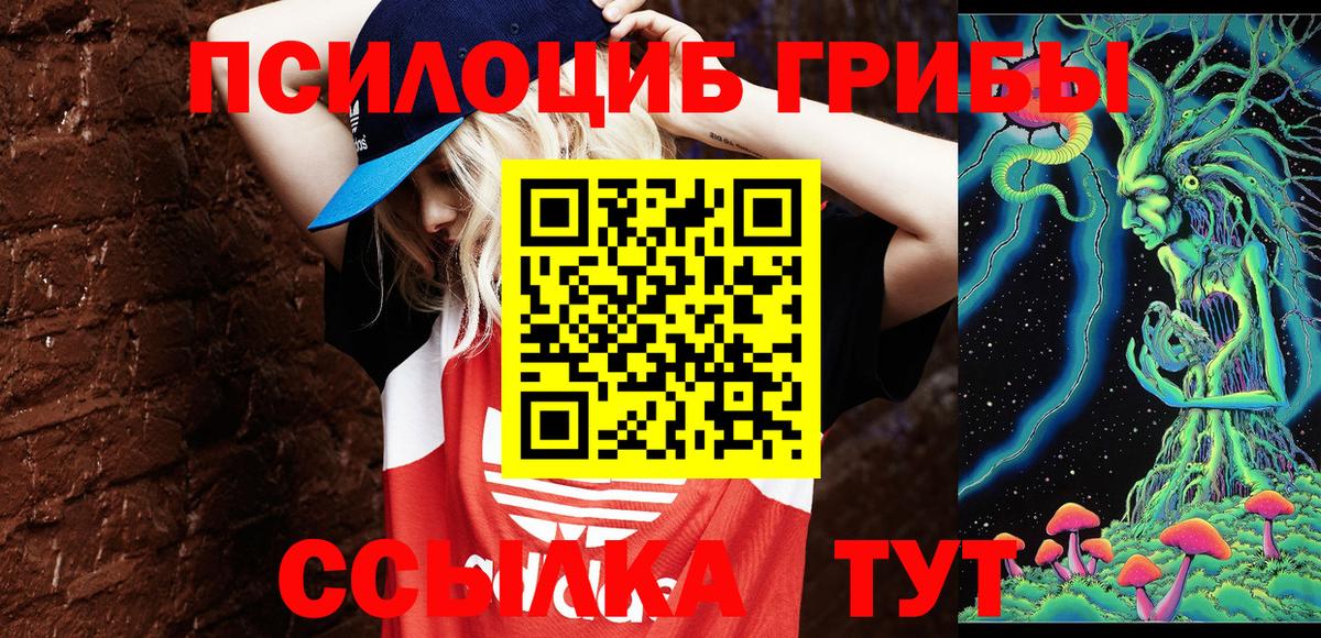 Нижний Тагил  Галлюциногенные грибы мицелий  Вход с VPN 